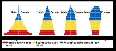 Age structure diagrams