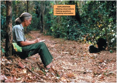 A scientist making observations in the field