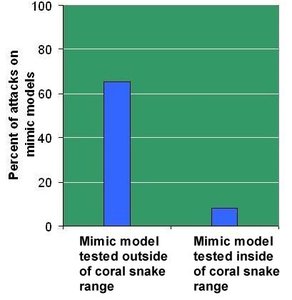 Bar graph showing attack rates on mimic models