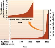 Graph showing exponential human population growth over time
