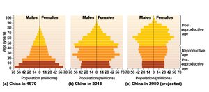 Age structure diagrams for China in 1970, 2015, and 2050 (projected)