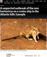 News headline about hantavirus outbreak and rodent image