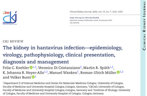 Journal article on kidney involvement in hantavirus infection