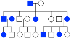 Pedigree chart showing inheritance of a genetic trait