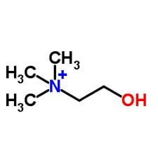 Structure of cholesterol