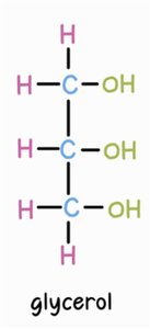 Structure of glycerol