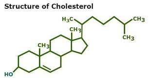 Structure of testosterone