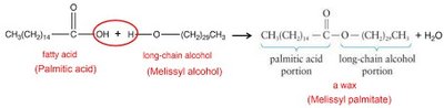 Wax synthesis reaction