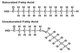 Saturated and unsaturated fatty acid structures