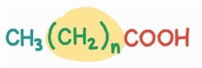 General formula for fatty acids