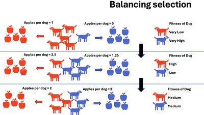 General Biology Study Guide: Ecology, Evolution & Populations | Notes