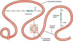 Quaternary protein structure