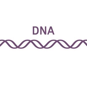 Logic behind the triplet hypothesis
