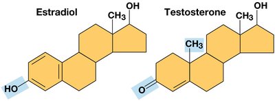 ATP structure