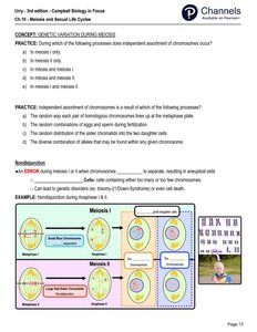 Possible gametes after nondisjunction