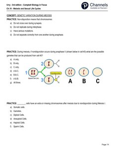Practice question diagram on meiosis
