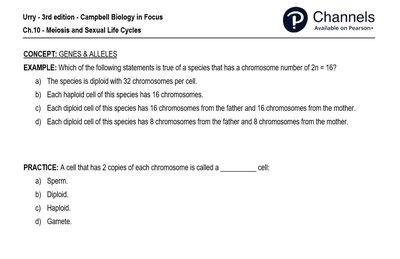 Haploid vs Diploid cell comparison