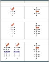 Aldose and ketose sugars