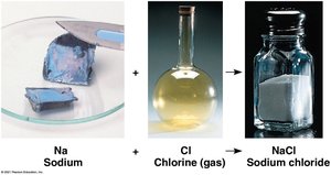 Sodium and chlorine combine to form sodium chloride (table salt)