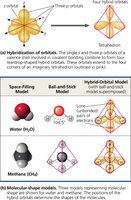 Molecular shapes: water (bent) and methane (tetrahedral)