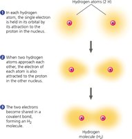 Formation of a covalent bond between hydrogen atoms