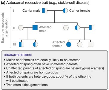Pedigree for autosomal recessive trait