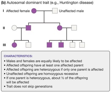 Pedigree for autosomal dominant trait