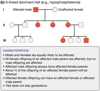 Pedigree for X-linked dominant trait