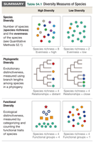 Table summarizing diversity measures: species, phylogenetic, functional