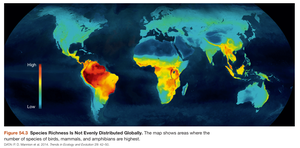 Global map showing species richness patterns