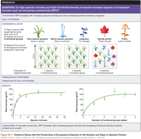 Graph showing relationship between species richness and ecosystem productivity