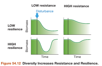Graph showing diversity increases resistance and resilience