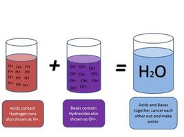 Diagram showing acids, bases, and neutralization to form water
