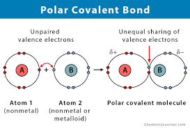 Diagram of polar covalent bond and electron sharing