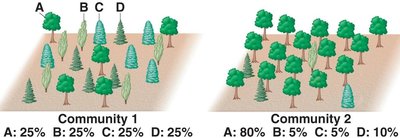 Comparison of species diversity in two communities