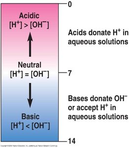 pH scale and acid-base properties