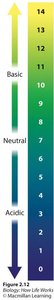 Buffering capacity and pH stability