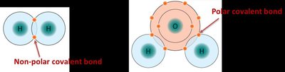 Comparison of nonpolar and polar covalent bonds