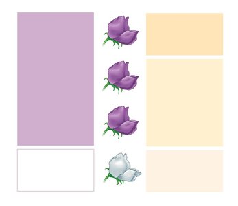 Punnett square showing genotype and phenotype ratios
