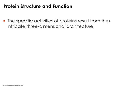 Protein structure and function