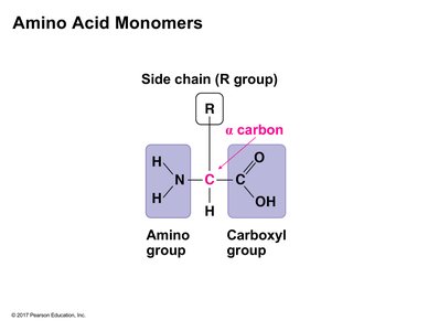 Amino acid structure