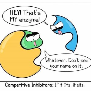 Cartoon illustrating competitive inhibition