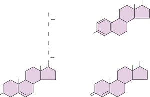 Structures of cholesterol, testosterone, and estrogen