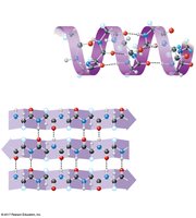 Secondary structure: alpha helix and beta sheet