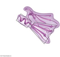 Tertiary structure of a protein