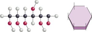 Glucose structure: linear and ring forms