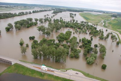 Flooding as an example of disturbance