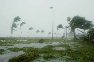 Storm as an example of disturbance