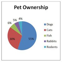 Pie chart example
