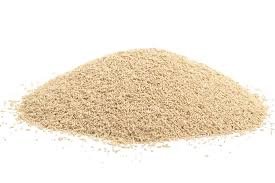 Yeast (unicellular ascomycete)